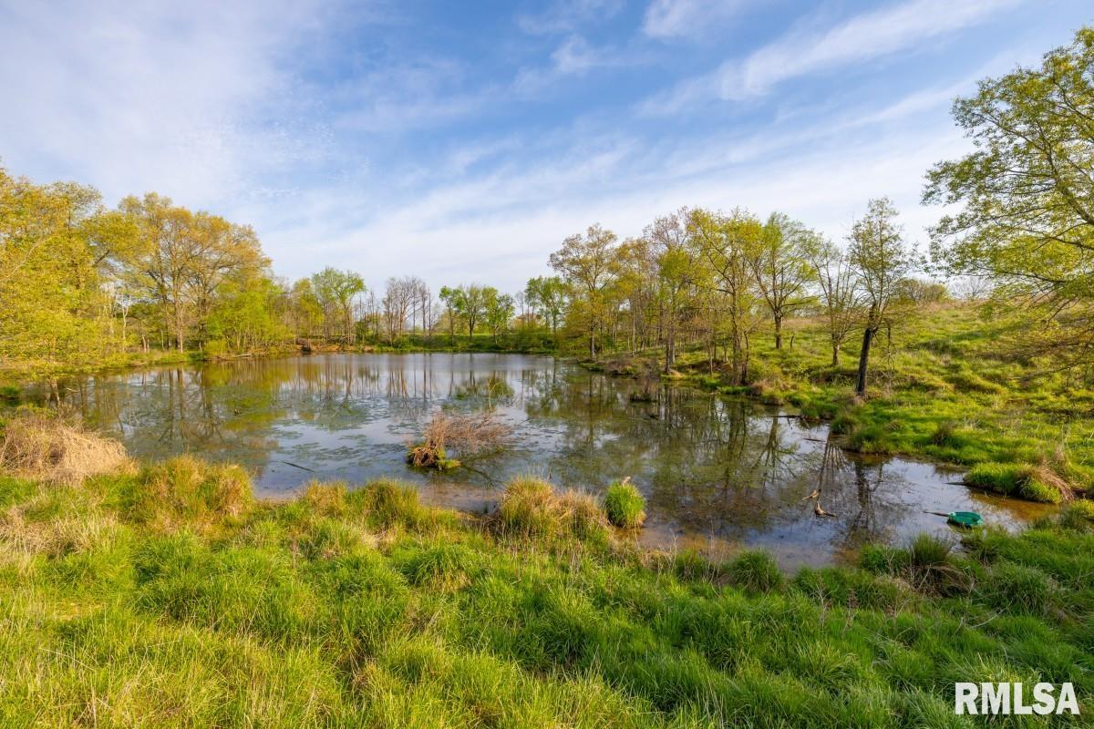 0 Goodman Pond Road Dongola, IL 62926 - Photo 23 of 72