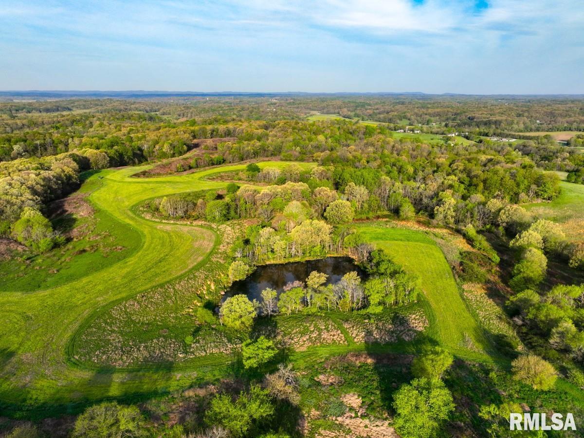 0 Goodman Pond Road Dongola, IL 62926 - Photo 25 of 72