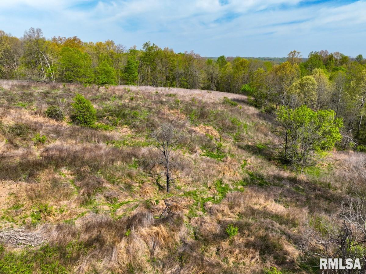 0 Goodman Pond Road Dongola, IL 62926 - Photo 28 of 72