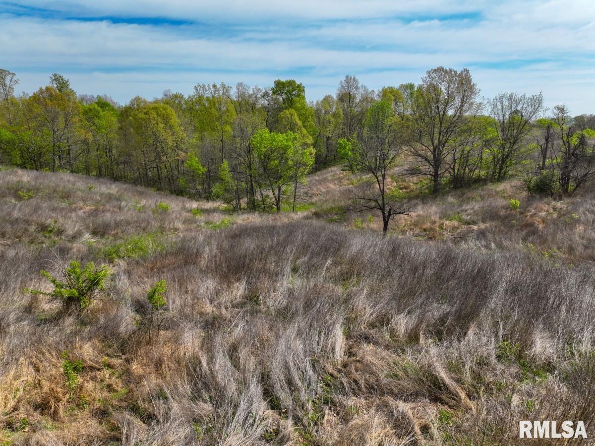 0 Goodman Pond Road Dongola, IL 62926 - Photo 29 of 72