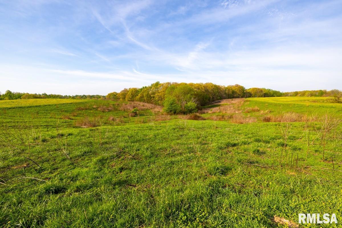 0 Goodman Pond Road Dongola, IL 62926 - Photo 31 of 72
