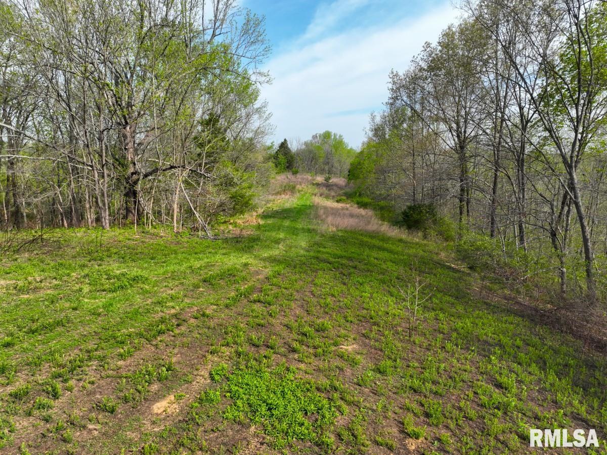 0 Goodman Pond Road Dongola, IL 62926 - Photo 32 of 72