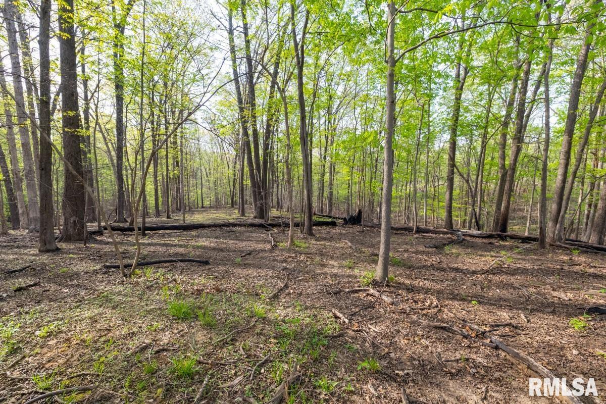 0 Goodman Pond Road Dongola, IL 62926 - Photo 33 of 72