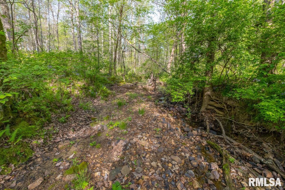 0 Goodman Pond Road Dongola, IL 62926 - Photo 34 of 72