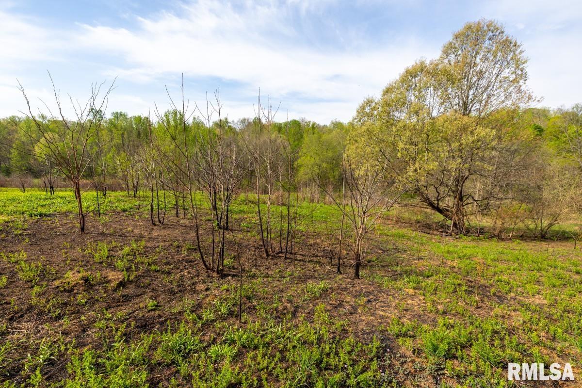 0 Goodman Pond Road Dongola, IL 62926 - Photo 36 of 72