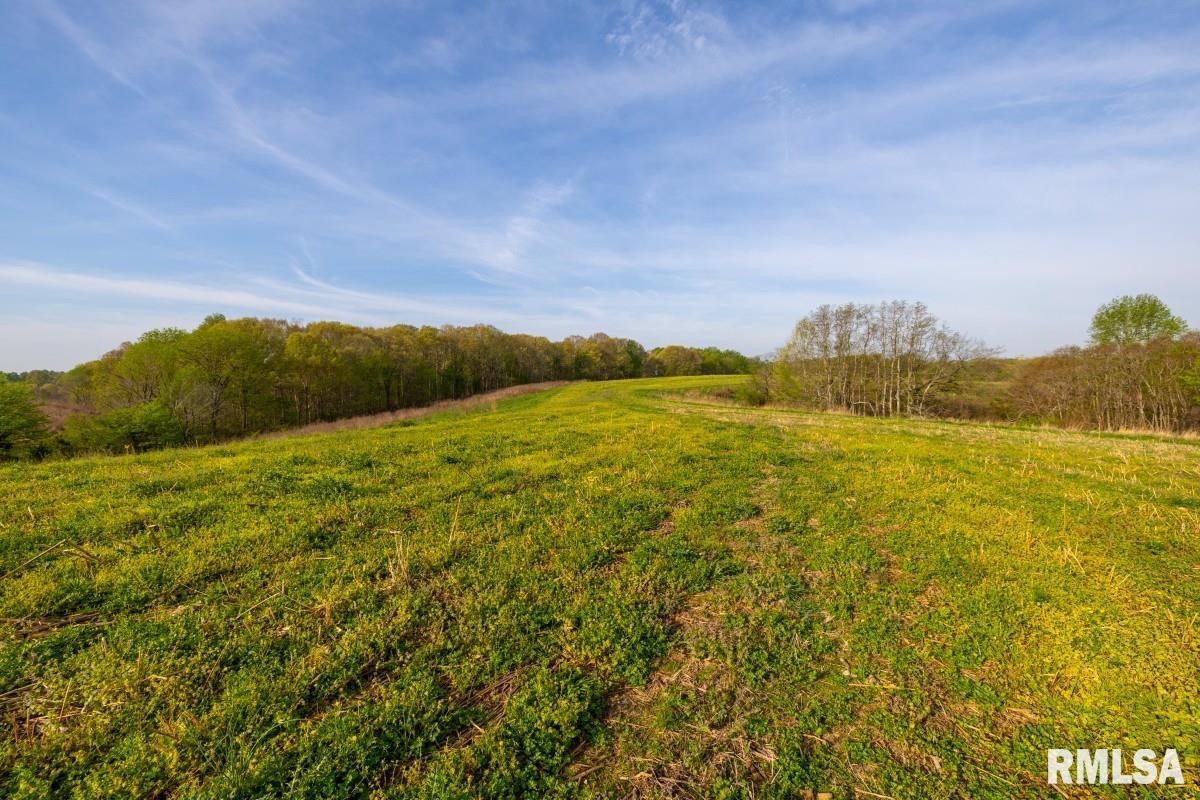 0 Goodman Pond Road Dongola, IL 62926 - Photo 38 of 72