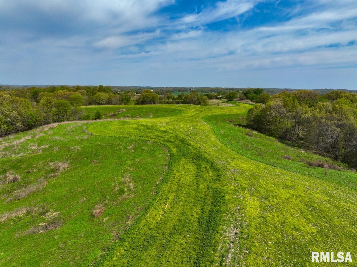 0 Goodman Pond Road Dongola, IL 62926 - Photo 39 of 72