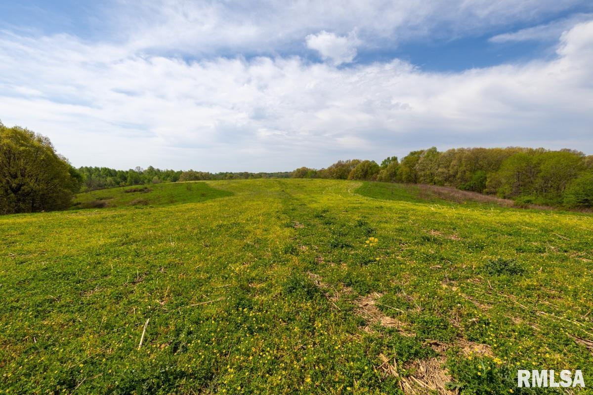 0 Goodman Pond Road Dongola, IL 62926 - Photo 40 of 72