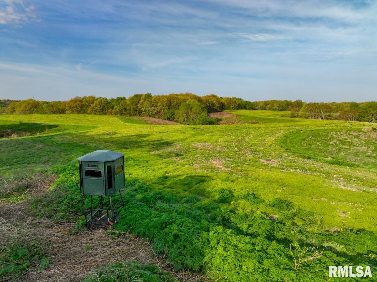 0 Goodman Pond Road Dongola, IL 62926 - Photo 41 of 72