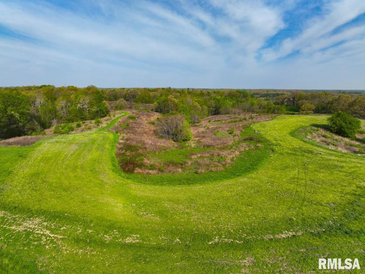 0 Goodman Pond Road Dongola, IL 62926 - Photo 42 of 72