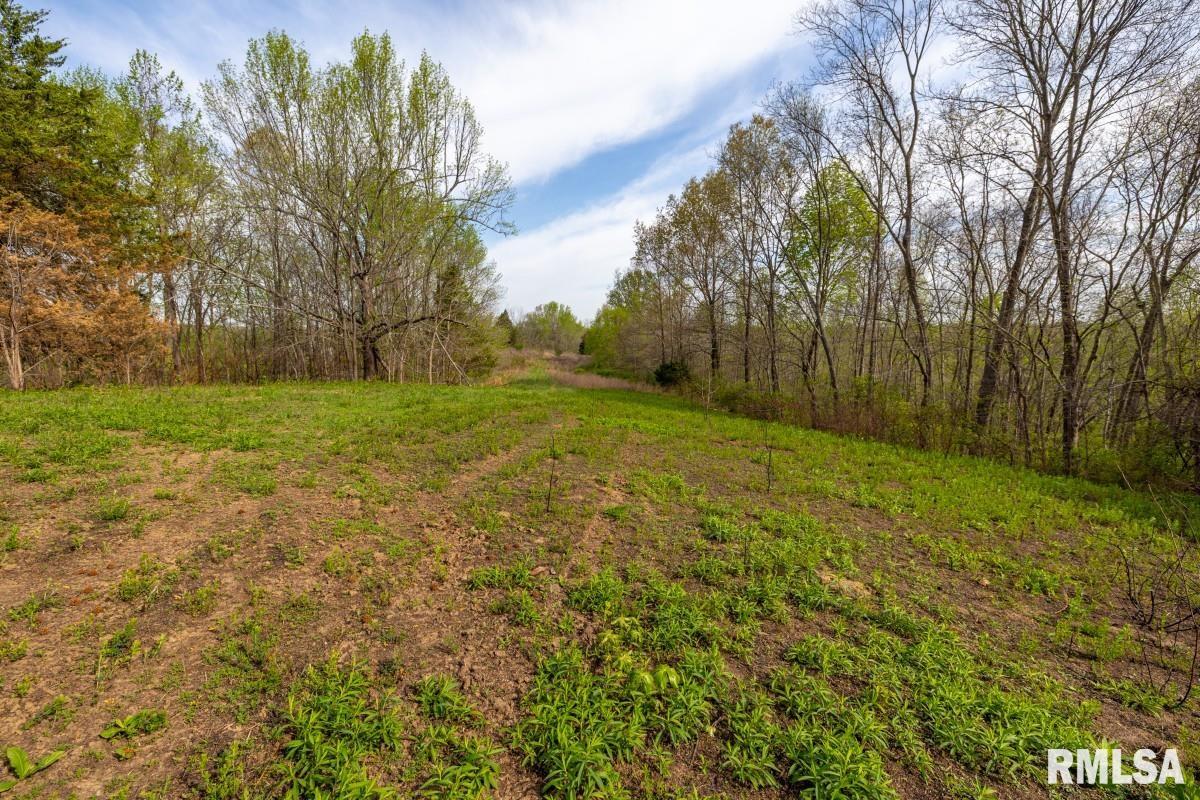 0 Goodman Pond Road Dongola, IL 62926 - Photo 44 of 72