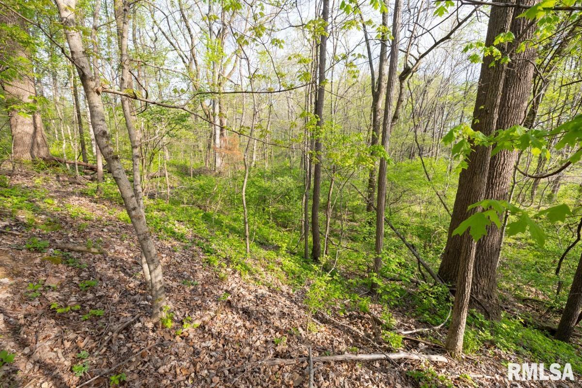 0 Goodman Pond Road Dongola, IL 62926 - Photo 45 of 72