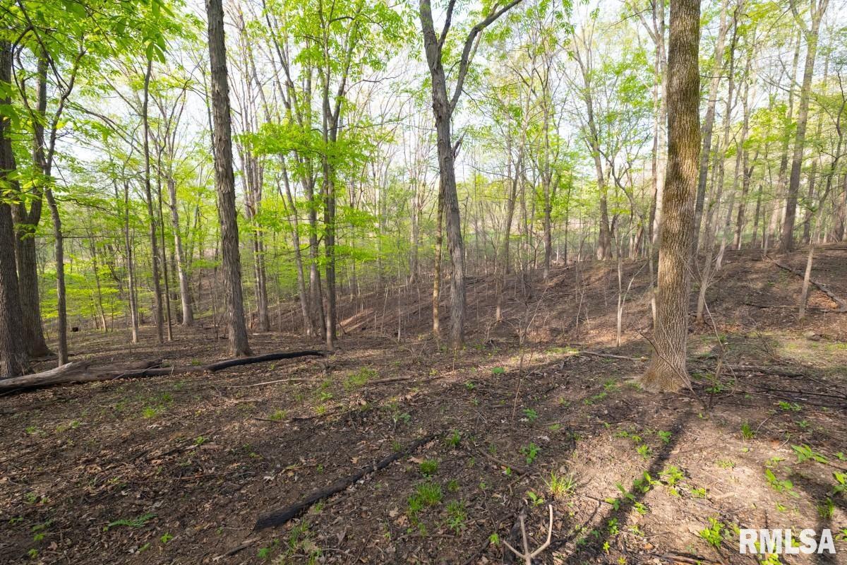 0 Goodman Pond Road Dongola, IL 62926 - Photo 46 of 72