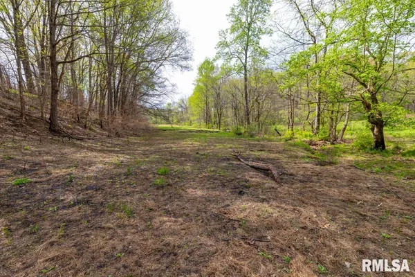 $1,275,000 | 0 Goodman Pond Road, Dongola, IL 62926