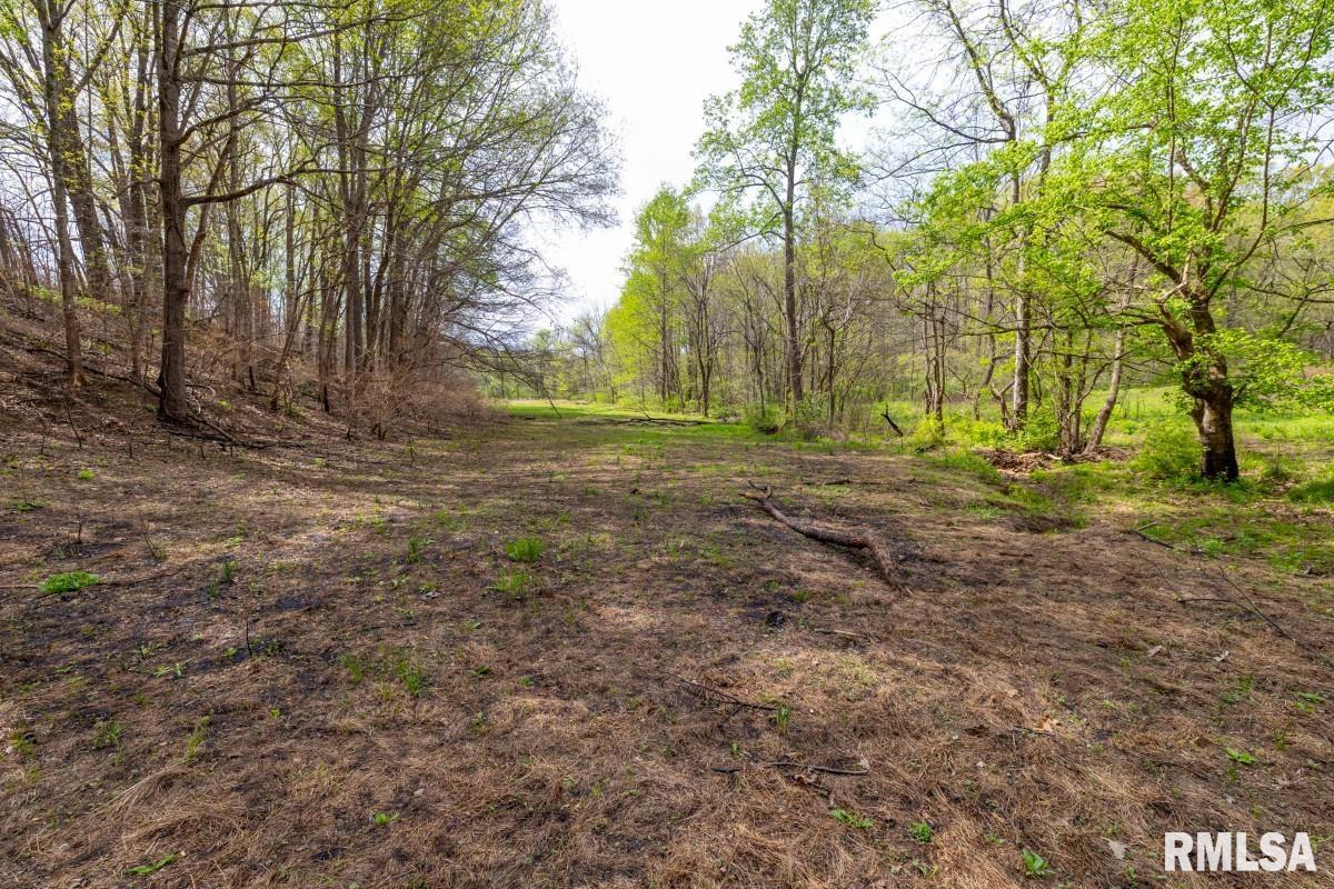 0 Goodman Pond Road Dongola, IL 62926 - Photo 47 of 72
