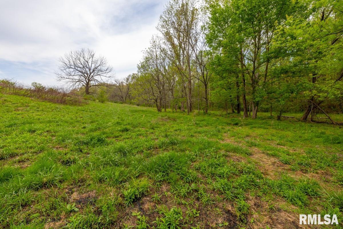 0 Goodman Pond Road Dongola, IL 62926 - Photo 48 of 72