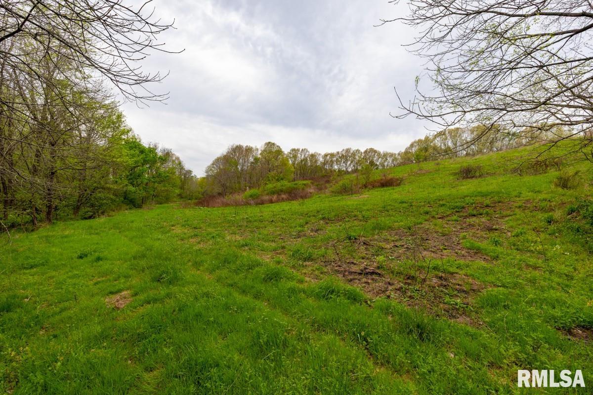 0 Goodman Pond Road Dongola, IL 62926 - Photo 50 of 72