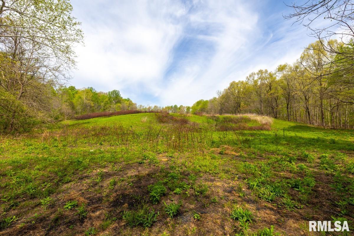 0 Goodman Pond Road Dongola, IL 62926 - Photo 51 of 72