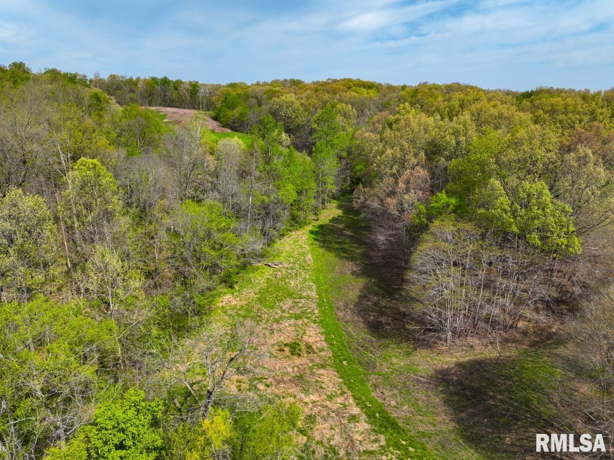 0 Goodman Pond Road Dongola, IL 62926 - Photo 52 of 72