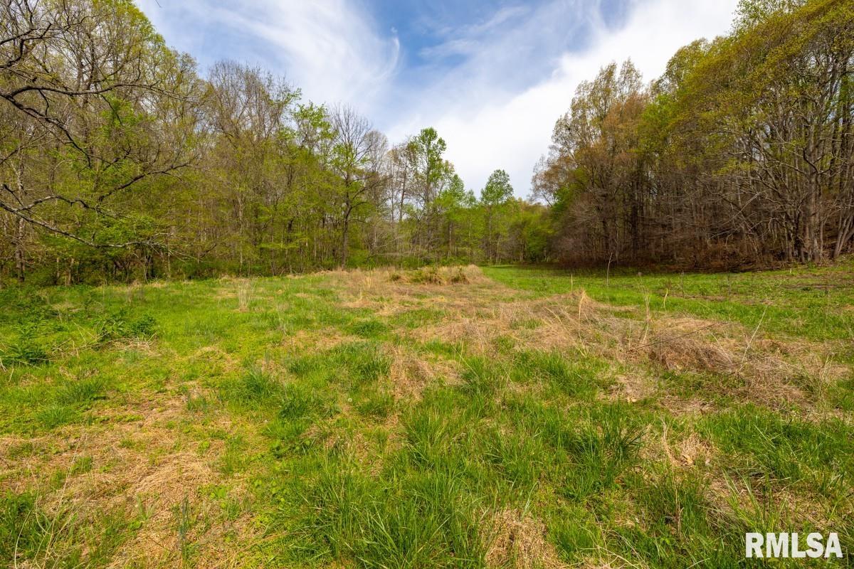 0 Goodman Pond Road Dongola, IL 62926 - Photo 53 of 72