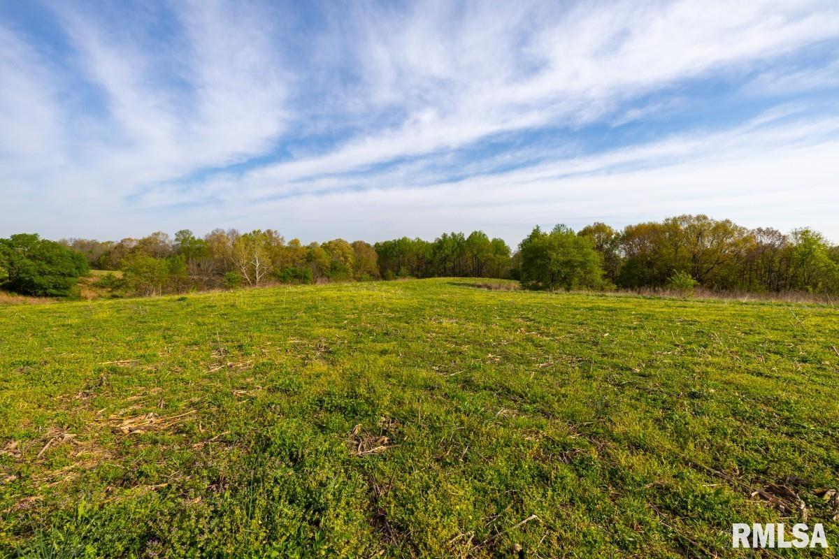 0 Goodman Pond Road Dongola, IL 62926 - Photo 55 of 72