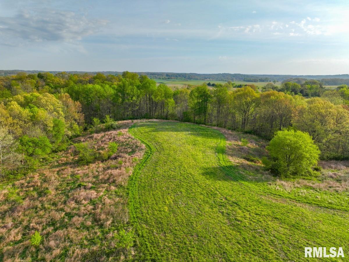 0 Goodman Pond Road Dongola, IL 62926 - Photo 56 of 72