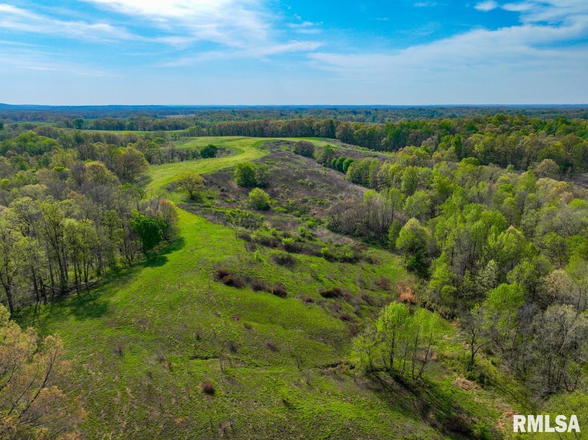 0 Goodman Pond Road Dongola, IL 62926 - Photo 57 of 72