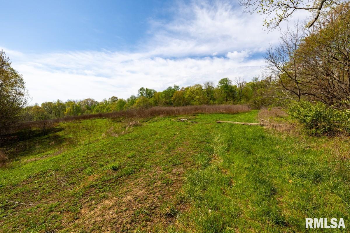 0 Goodman Pond Road Dongola, IL 62926 - Photo 59 of 72