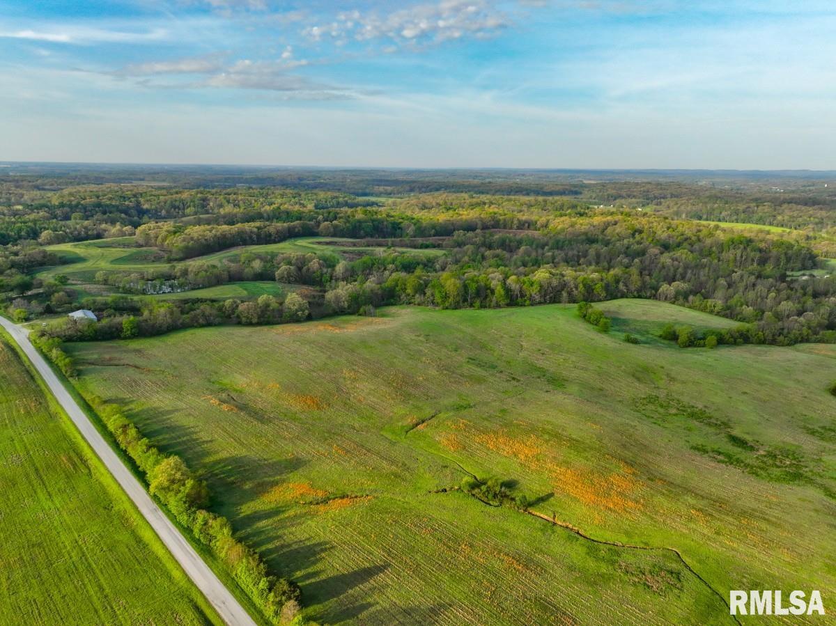 0 Goodman Pond Road Dongola, IL 62926 - Photo 60 of 72