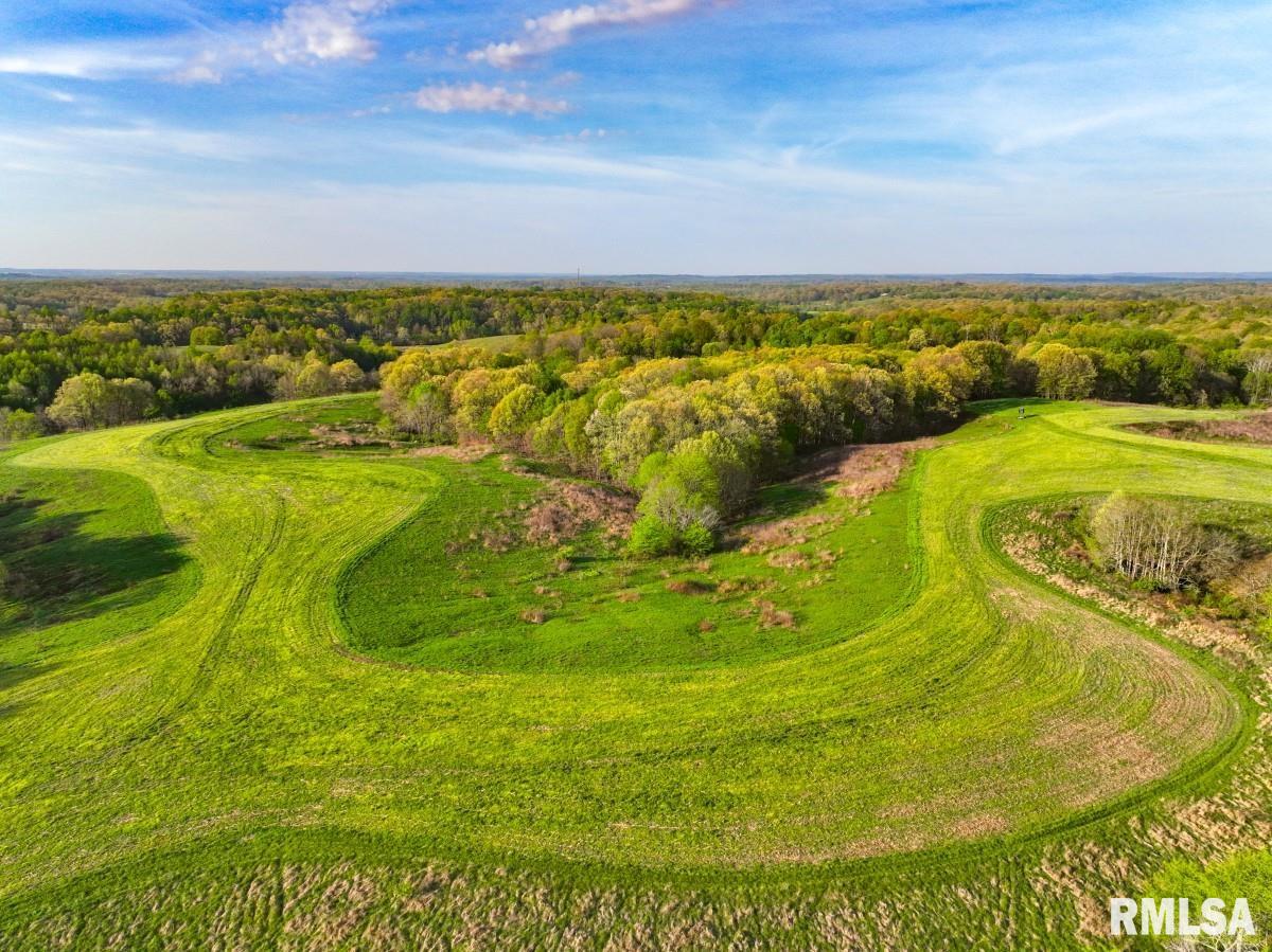 0 Goodman Pond Road Dongola, IL 62926 - Photo 6 of 72