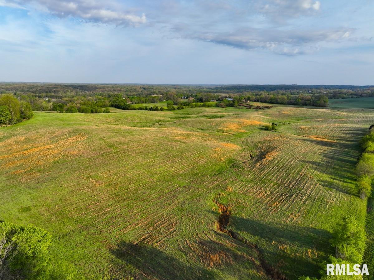 0 Goodman Pond Road Dongola, IL 62926 - Photo 61 of 72
