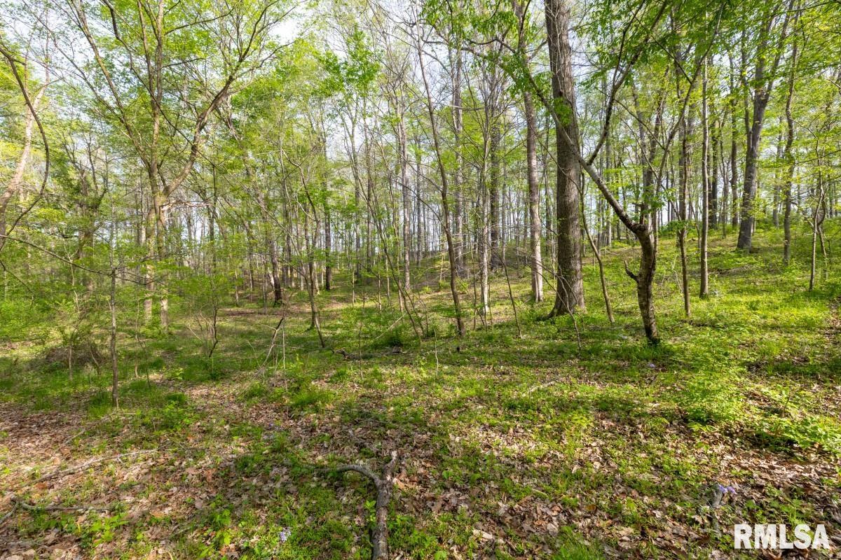 0 Goodman Pond Road Dongola, IL 62926 - Photo 63 of 72