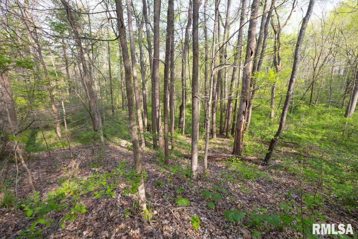 0 Goodman Pond Road Dongola, IL 62926 - Photo 64 of 72