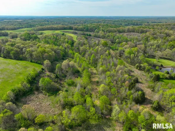 $1,275,000 | 0 Goodman Pond Road, Dongola, IL 62926