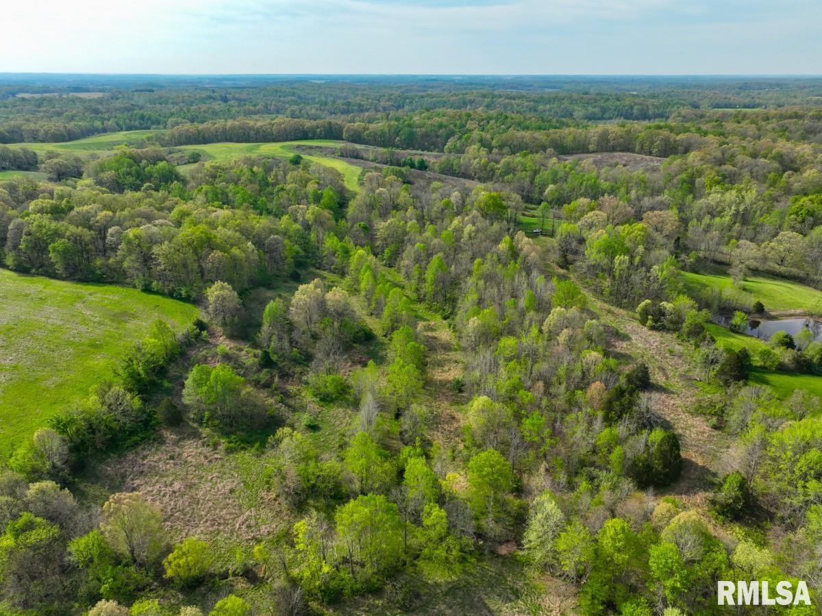 0 Goodman Pond Road Dongola, IL 62926 - Photo 65 of 72