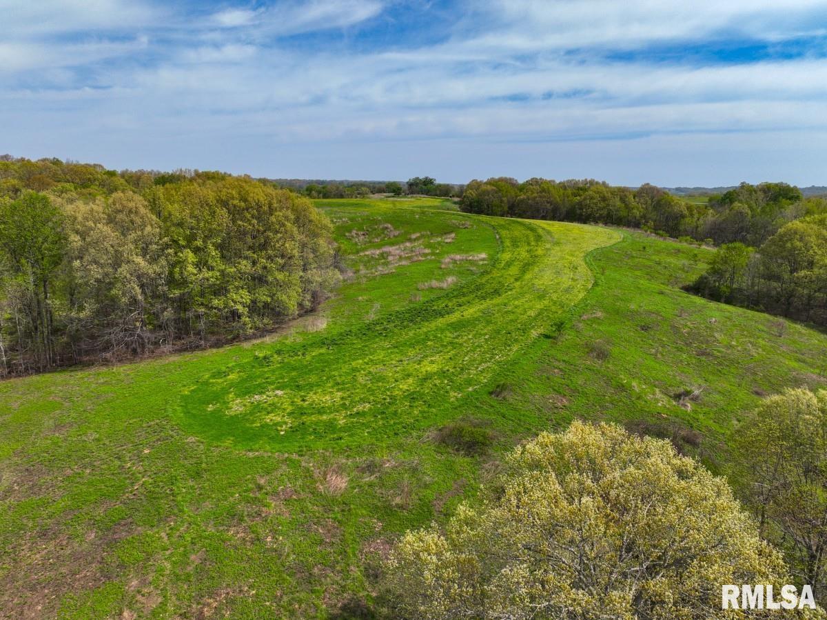 0 Goodman Pond Road Dongola, IL 62926 - Photo 66 of 72