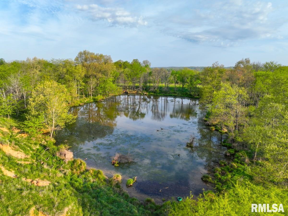 0 Goodman Pond Road Dongola, IL 62926 - Photo 7 of 72