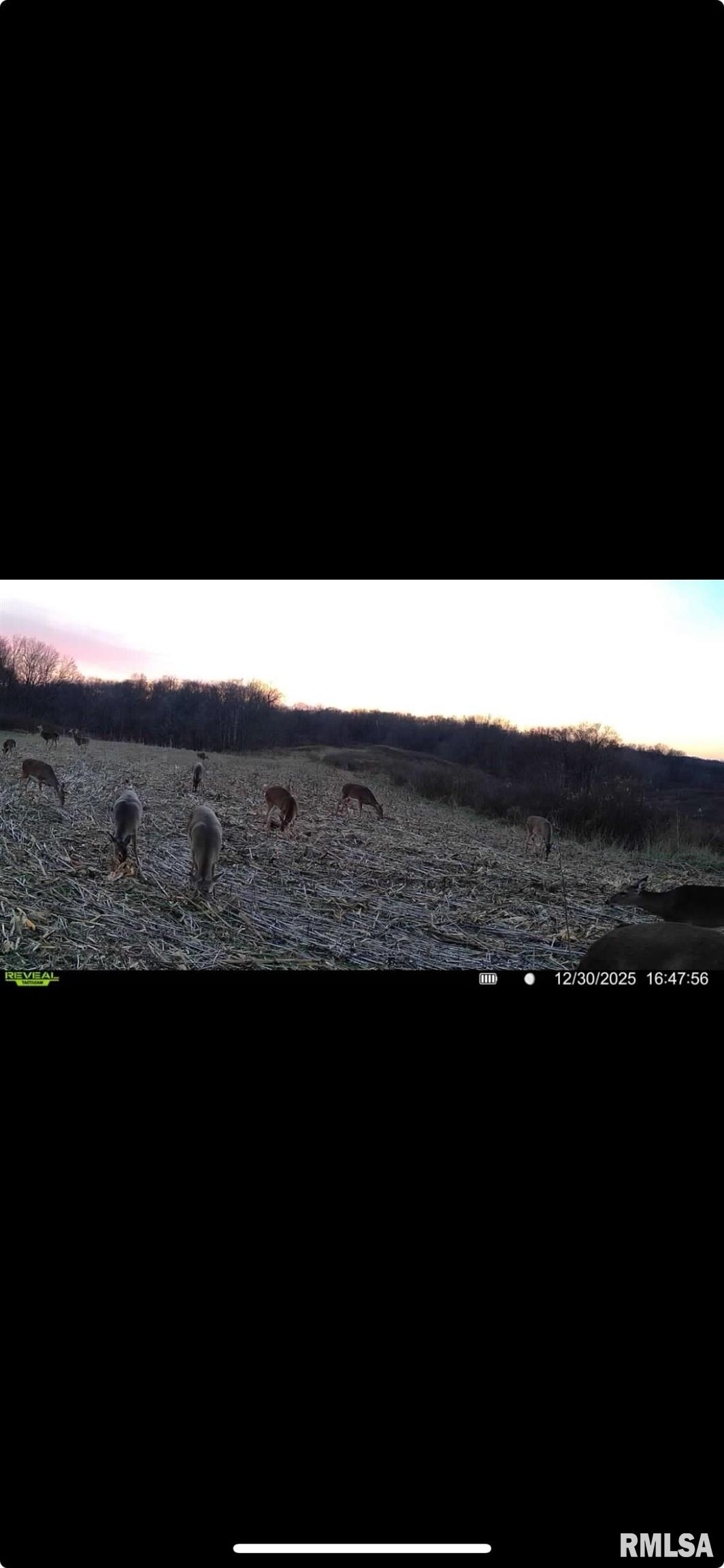 0 Goodman Pond Road Dongola, IL 62926 - Photo 72 of 72