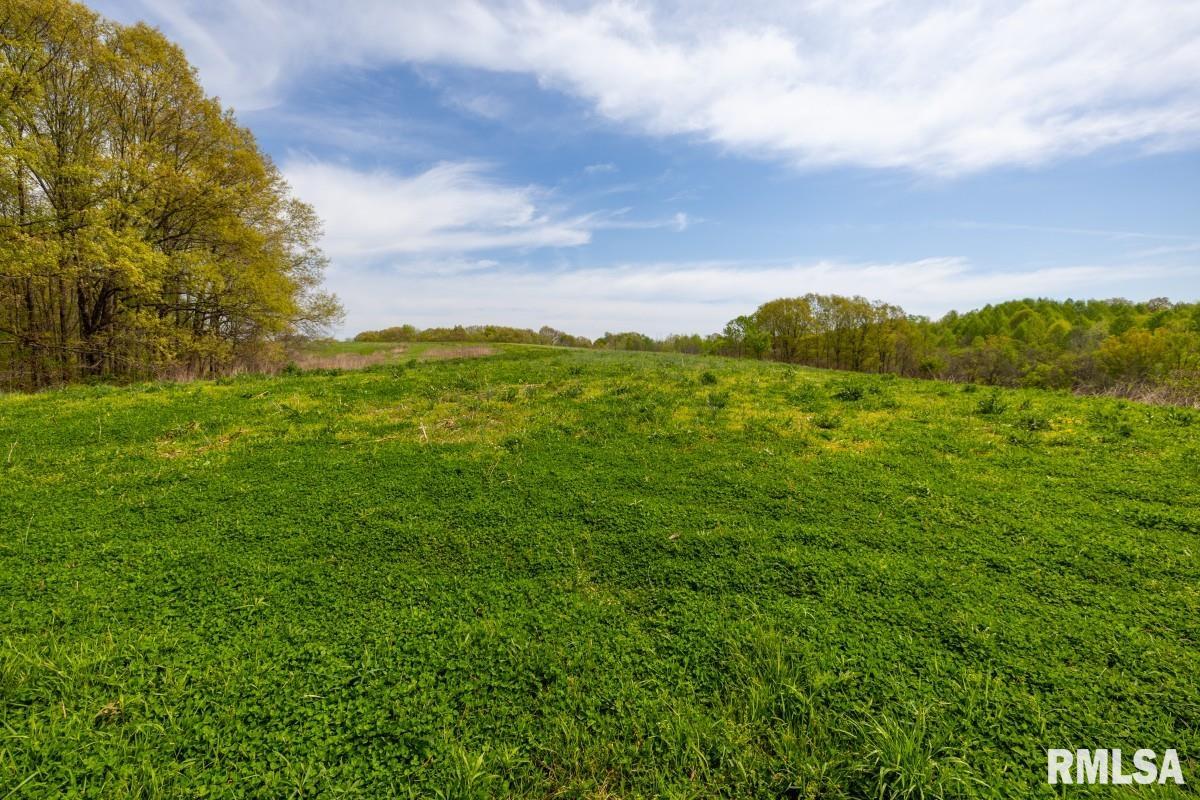 0 Goodman Pond Road Dongola, IL 62926 - Photo 9 of 72