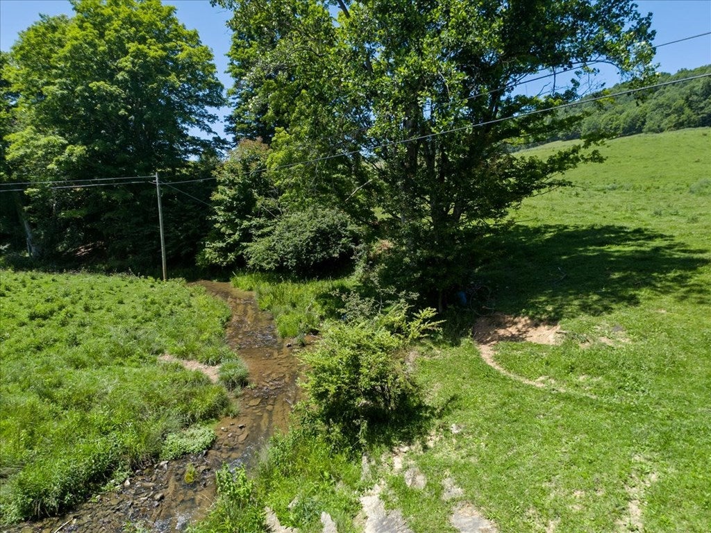 Tbd Tbd Foglesong Road Ceres, VA 24318 - Photo 17 of 19 Gallery Image 17