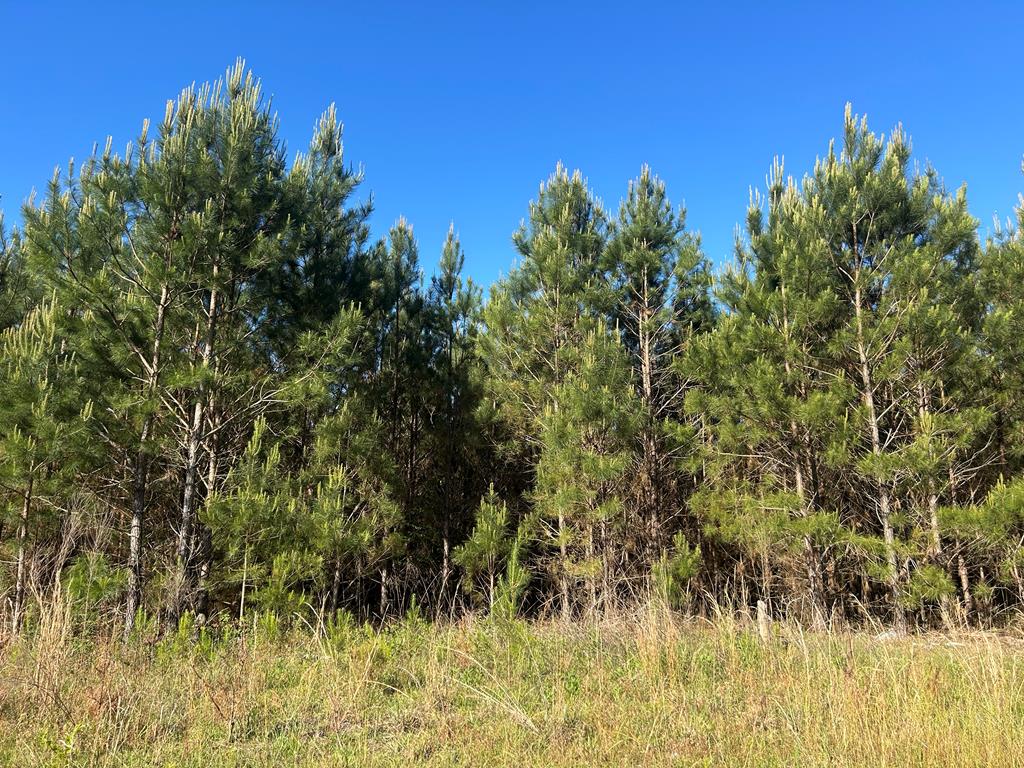 3574 East Cottonwood Road Dothan, AL 36301 - Photo 1 of 30