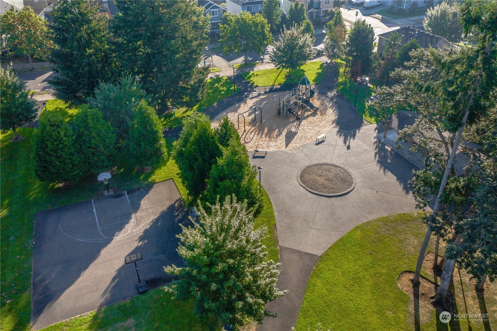 1534 Farina Loop Southeast Olympia, WA 98513 - Photo 38 of 38 a view of a tree with yard