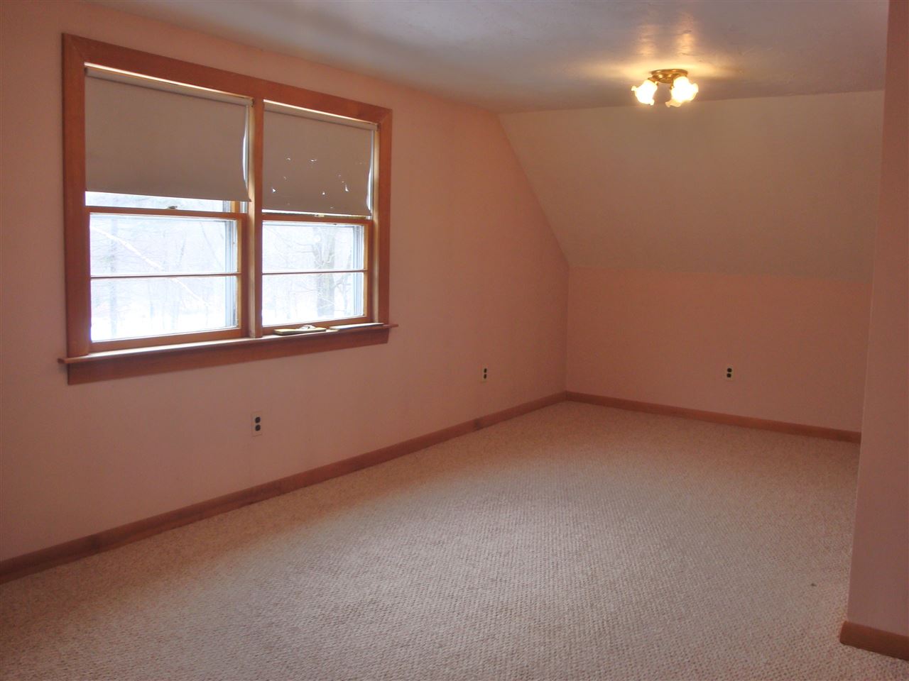 2506 Washburn Road Alexandria, NH 03222 - Photo 3 of 22 Gallery Image 3
