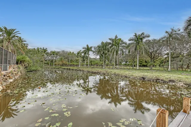 a view of lake with green space