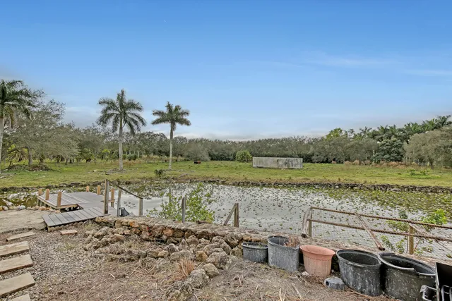 a view of a backyard with large trees