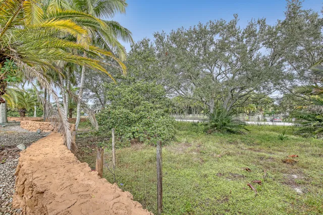 a view of a yard and a garage