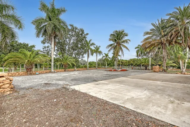 a view of road and trees