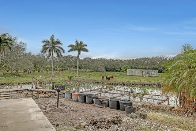 a view of lake with green space