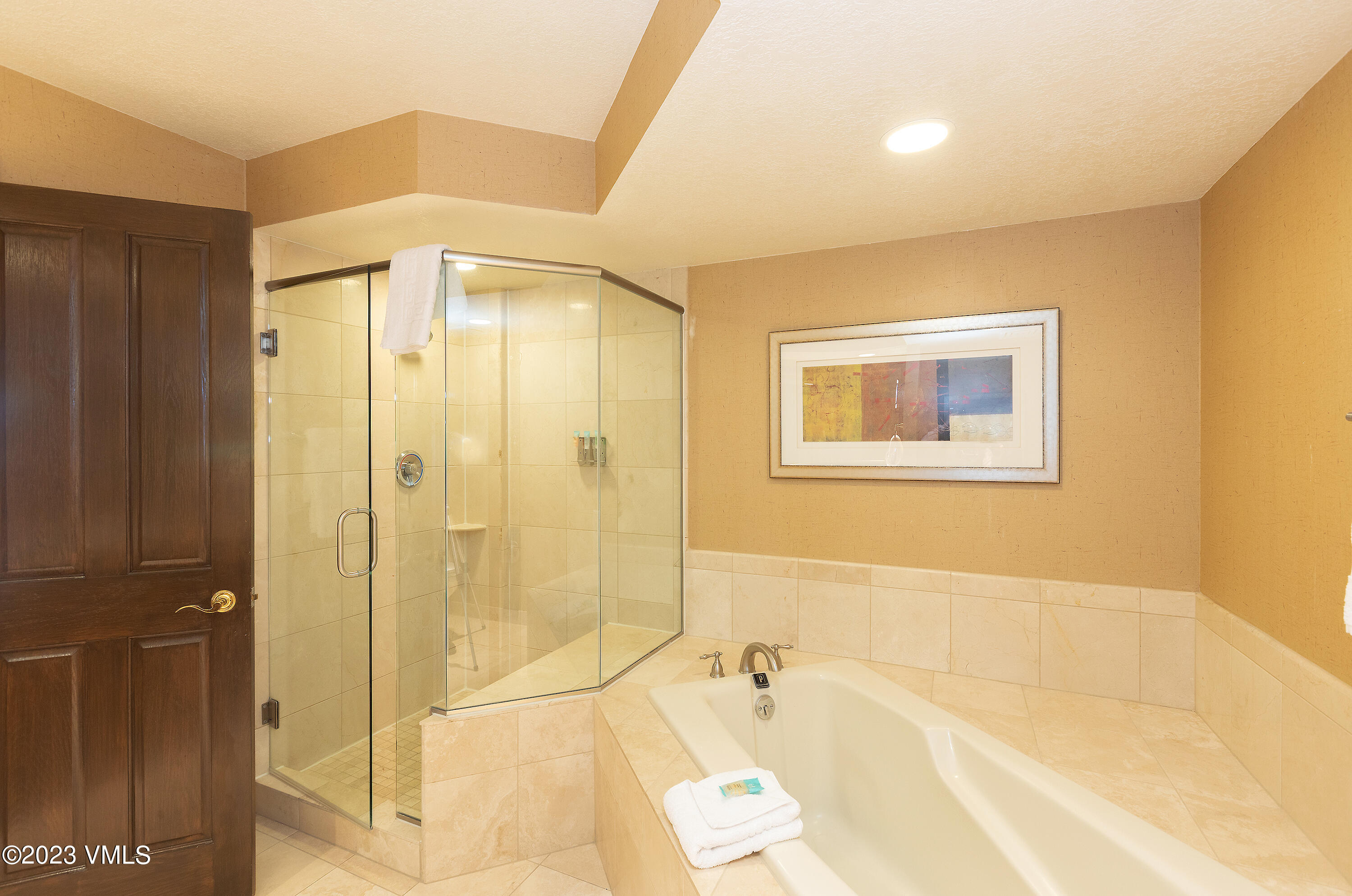 210 Offerson Road, Unit 107 WEEK 5 Beaver Creek, CO 81620 - Photo 12 of 27 a bathroom with a bathtub and a shower