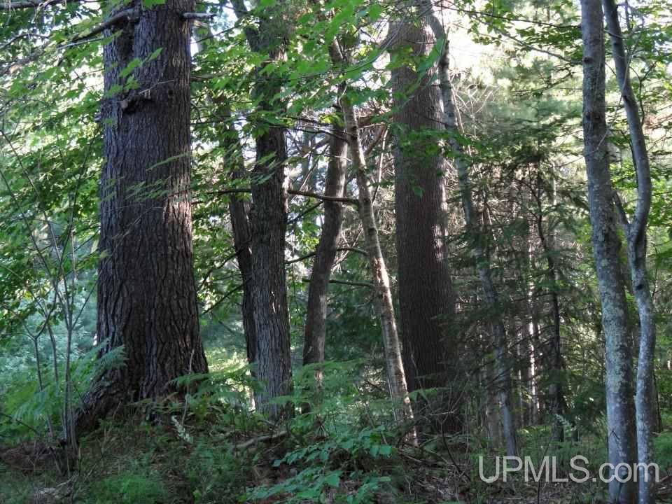 21880 Creamery Road Chassell, MI 49916 - Photo 22 of 25 Gallery Image 22